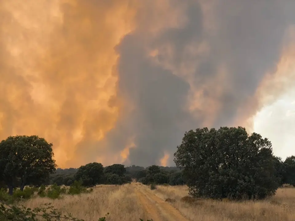 Incendio Molezuelas de la Carballeda_1