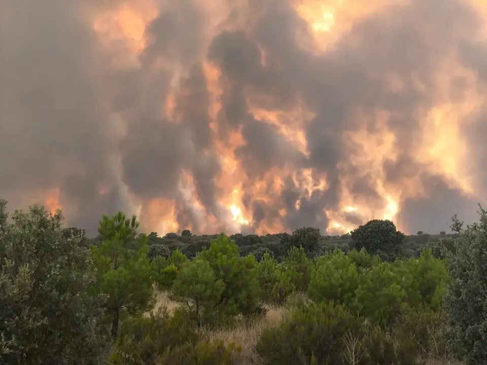 incendio Molezuelas de la Carballeda_4