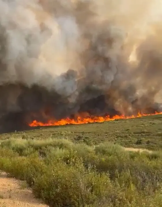 incendio Puercas