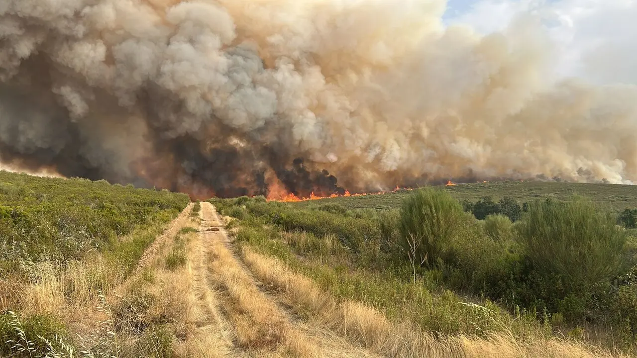 incendio Puercas (2)