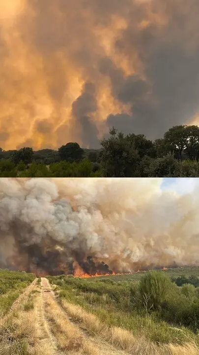 incendio Puercas y La Carballeda