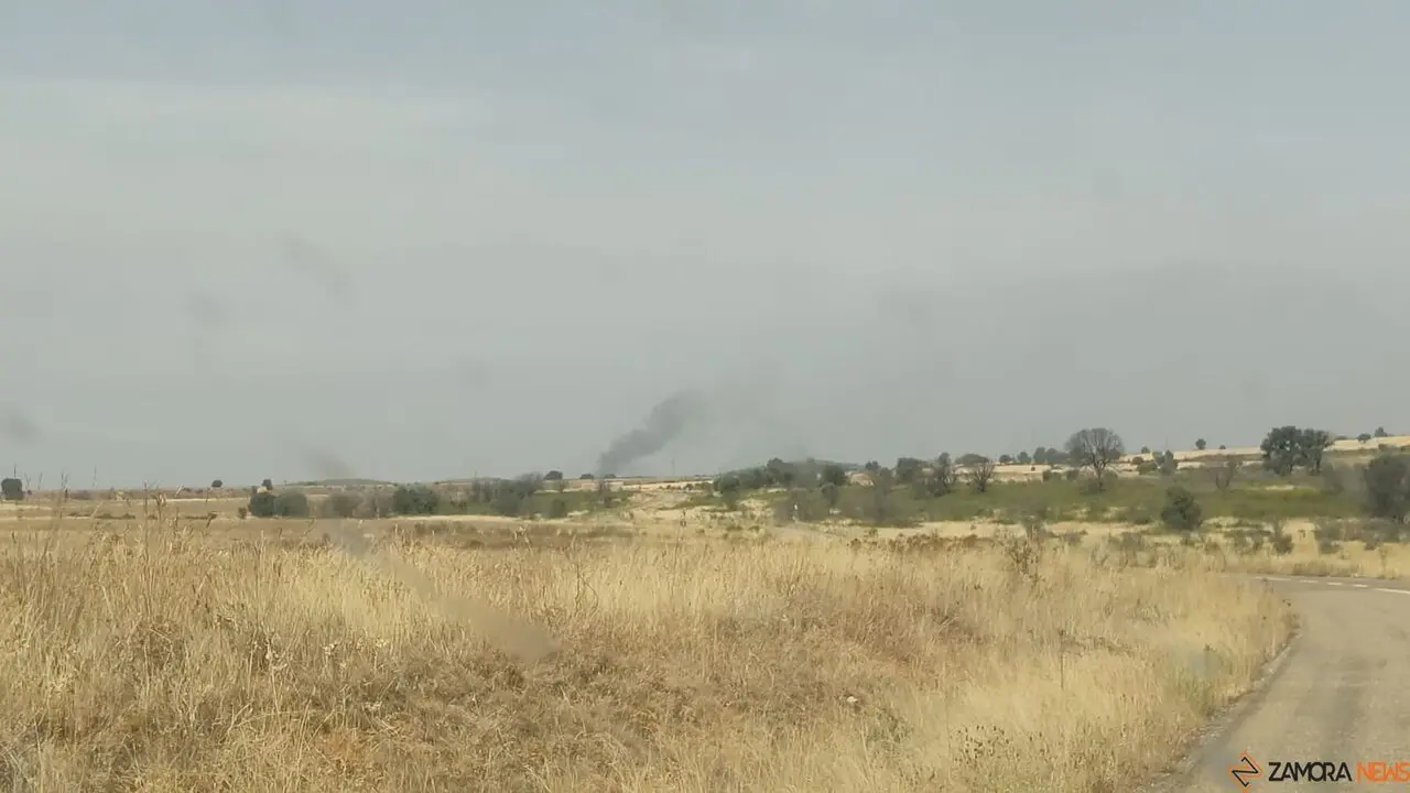 La UME actúa frente a los incendios que asolan Zamora