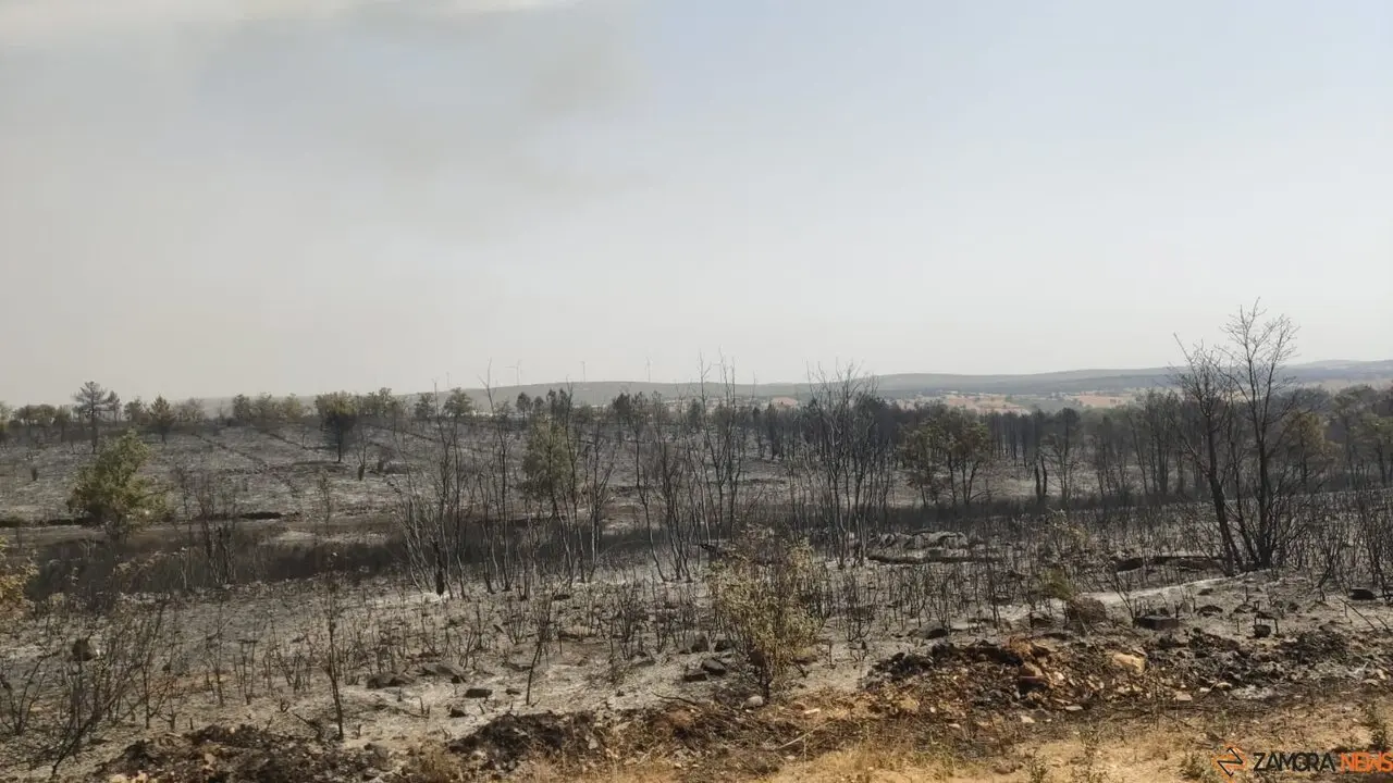 La UME actúa frente a los incendios que asolan Zamora