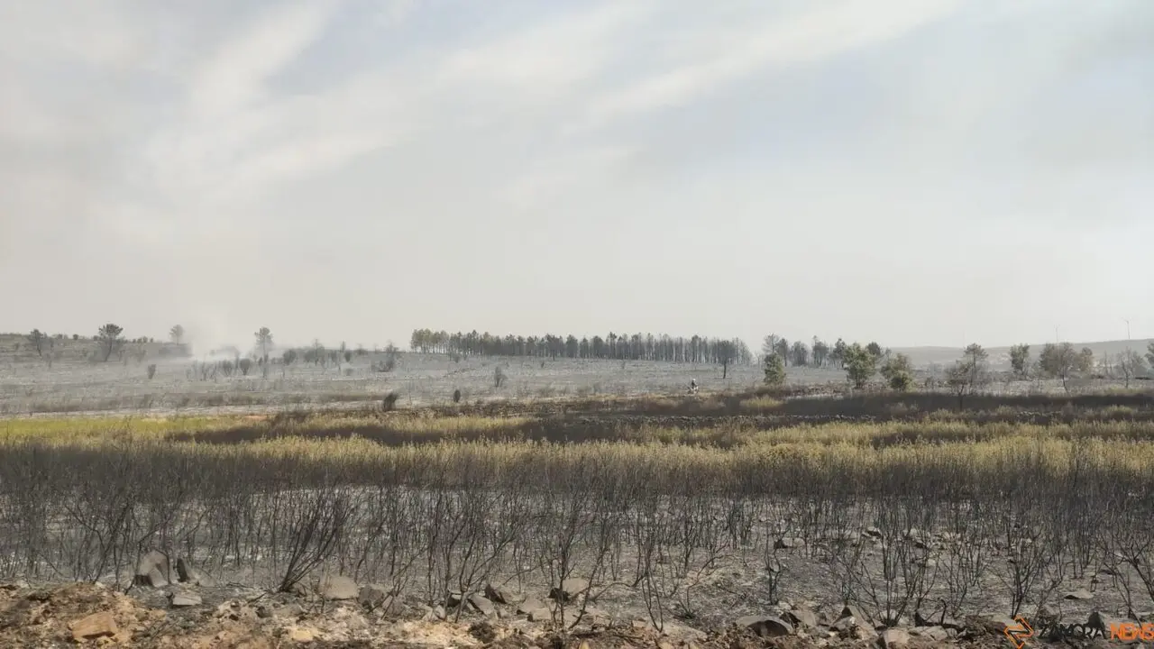 La UME actúa frente a los incendios que asolan Zamora