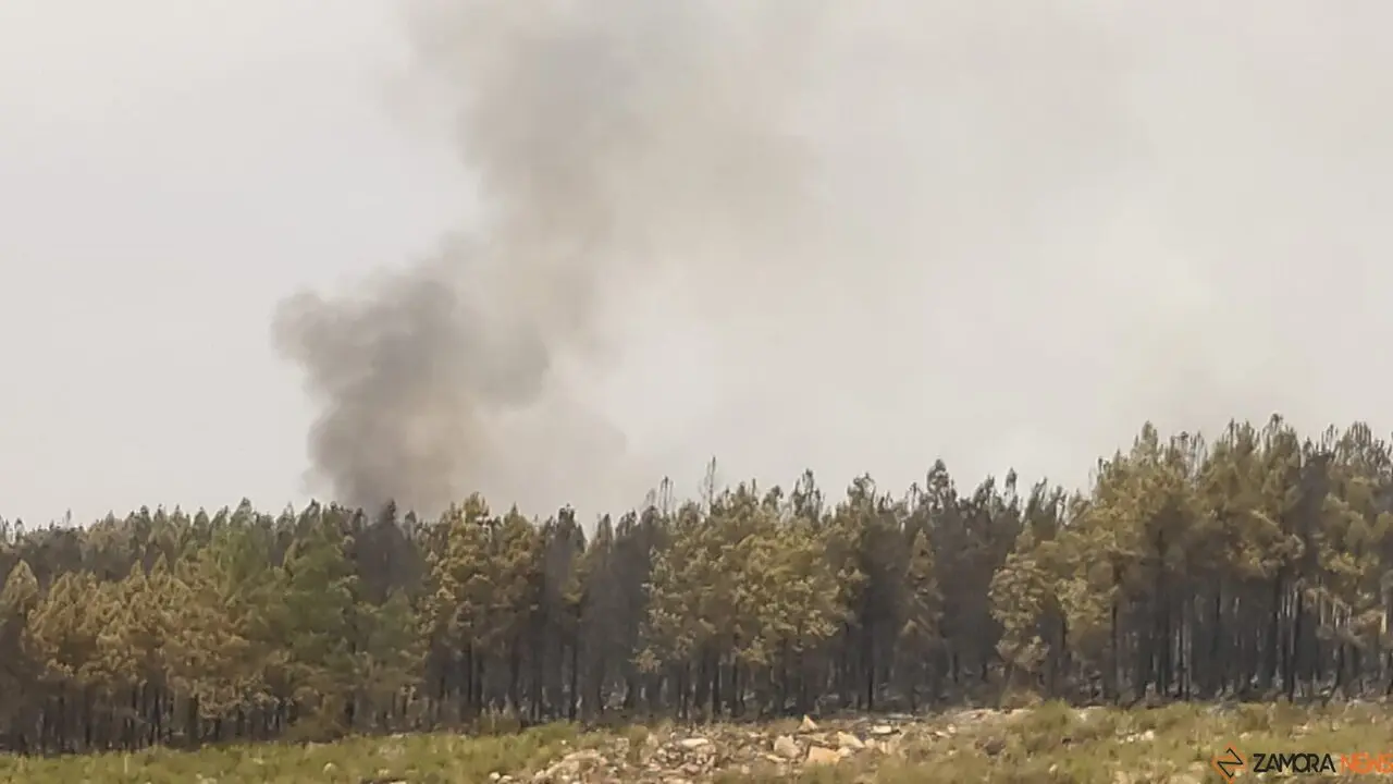 La UME actúa frente a los incendios que asolan Zamora