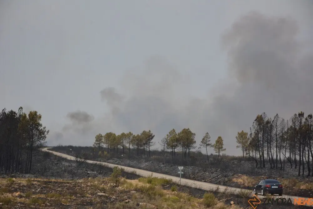 fuego puercas vegalatrave losacio_14