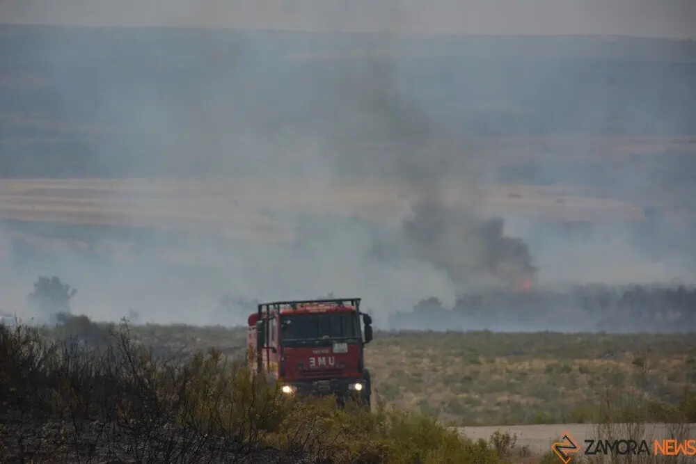 fuego puercas vegalatrave losacio_16