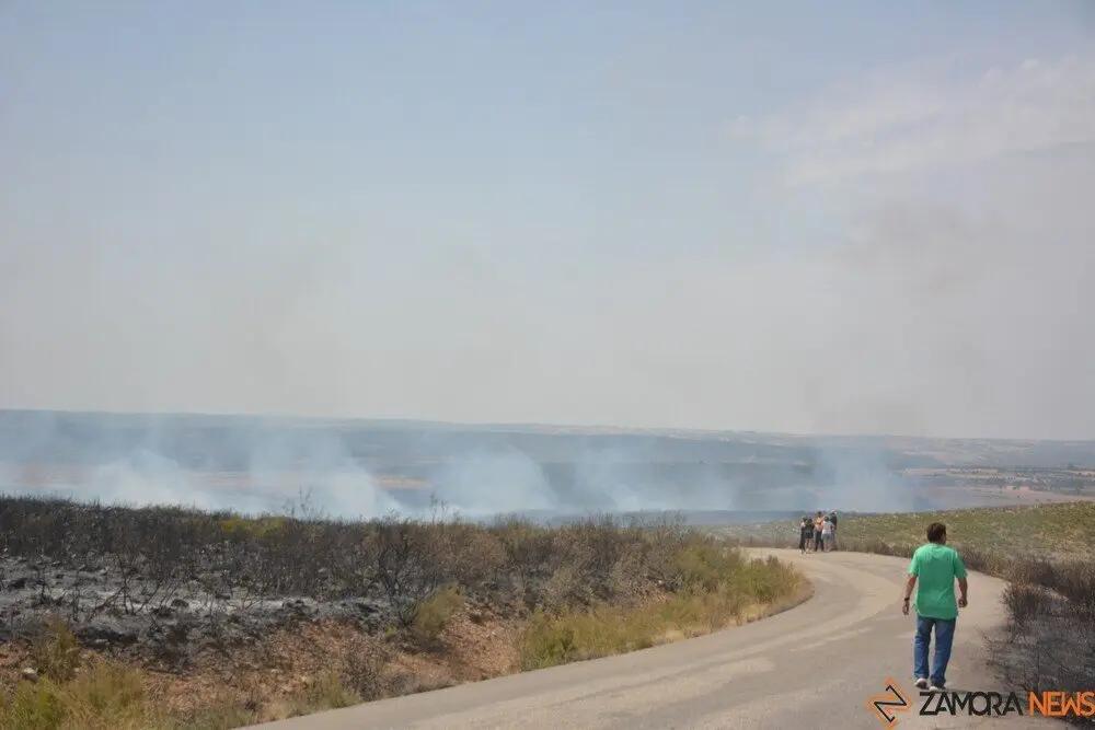 fuego puercas vegalatrave losacio_32