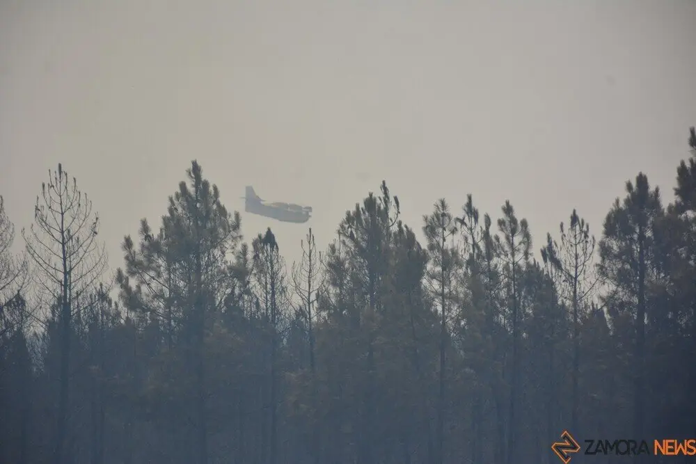 fuego puercas vegalatrave losacio_48