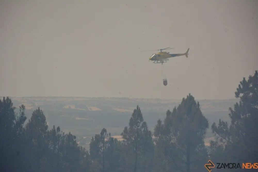 fuego puercas vegalatrave losacio_50