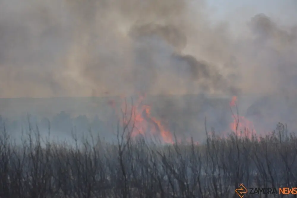 fuego puercas vegalatrave losacio_54