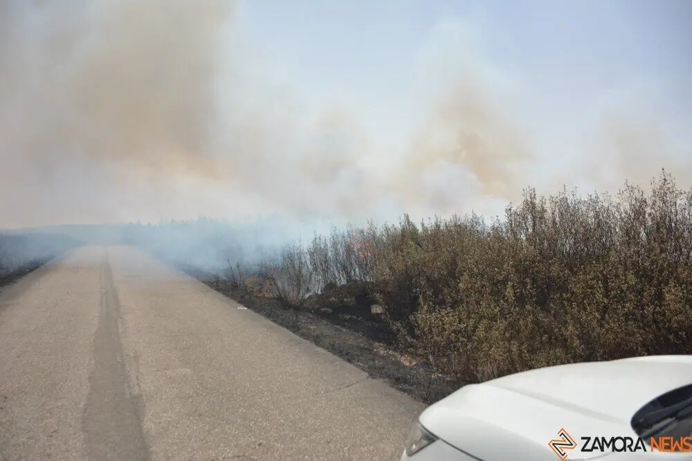 fuego puercas vegalatrave losacio_71