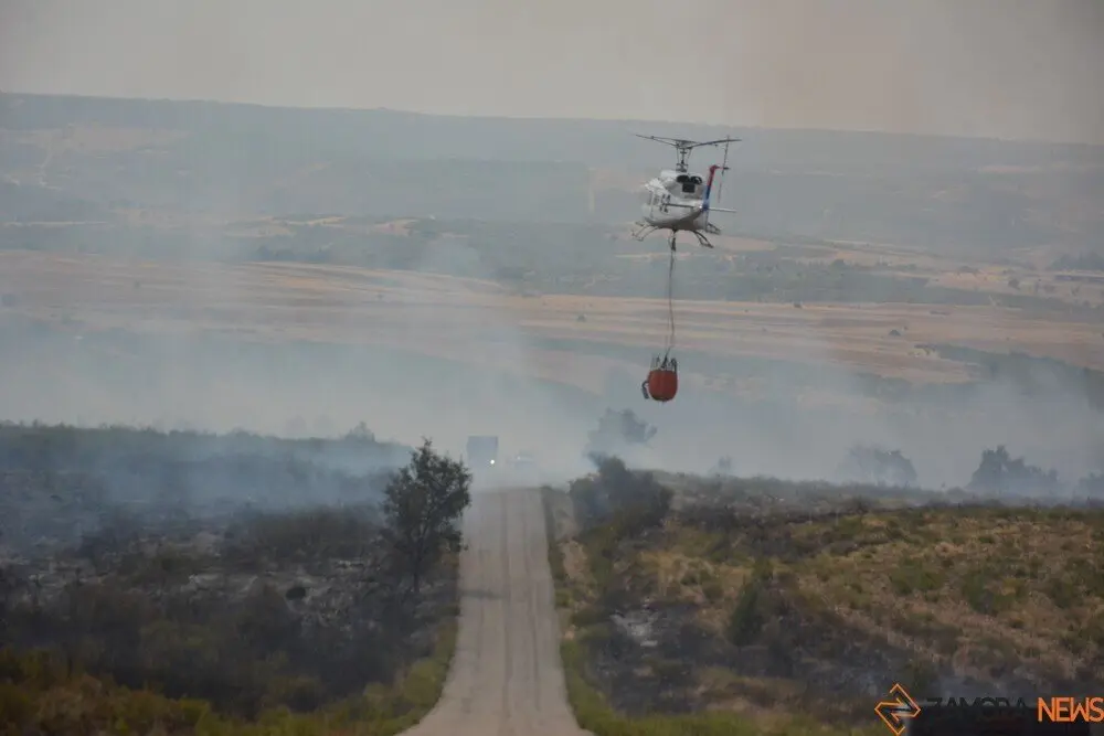 fuego puercas vegalatrave losacio_106