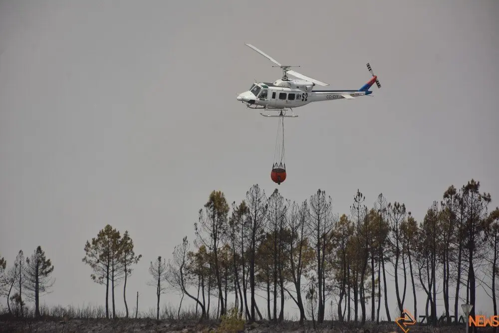 fuego puercas vegalatrave losacio_124