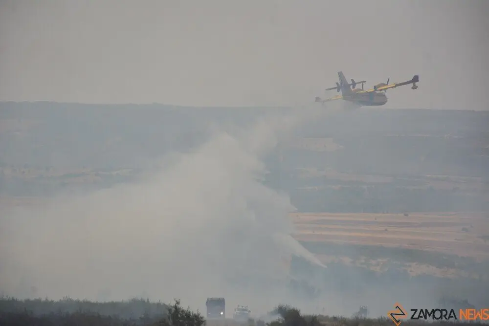 fuego puercas vegalatrave losacio_153
