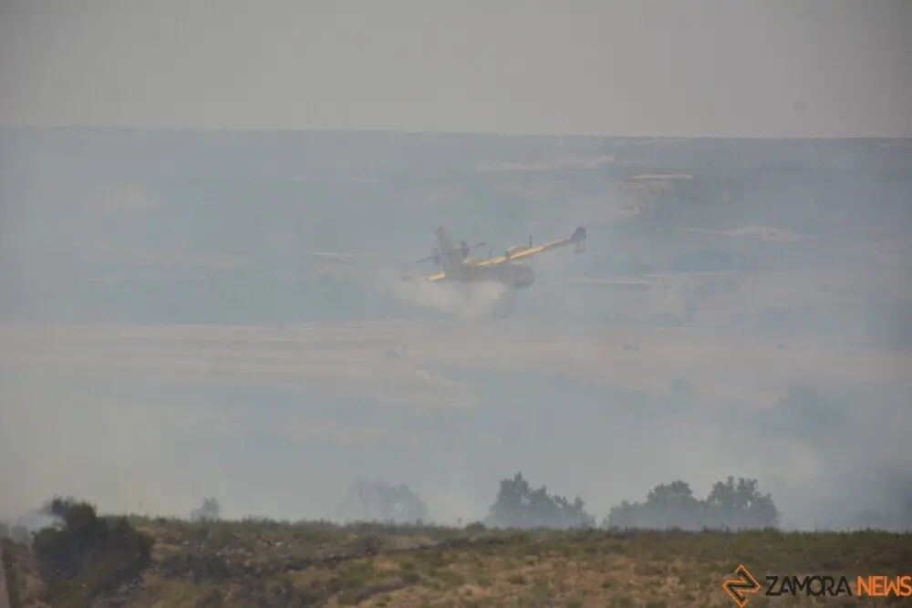 fuego puercas vegalatrave losacio_161