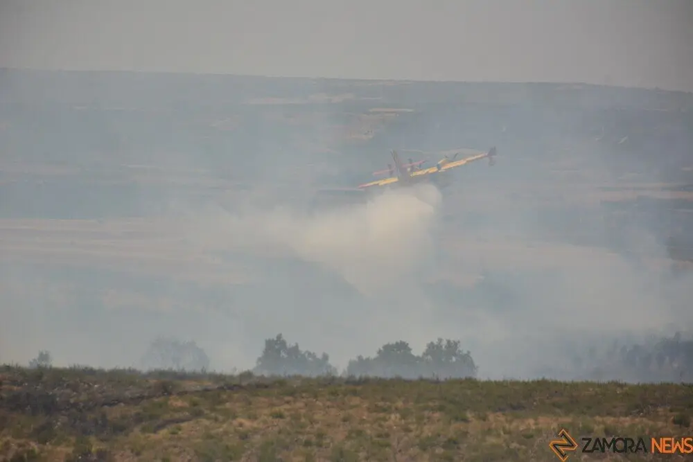 fuego puercas vegalatrave losacio_163