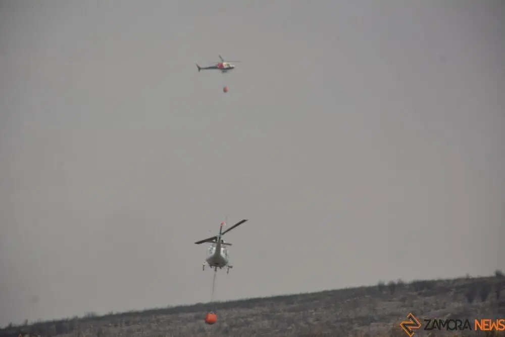 fuego puercas vegalatrave losacio_171