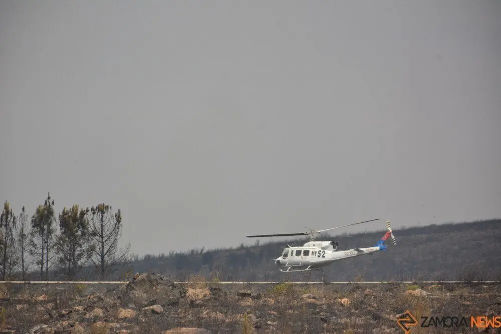 fuego puercas vegalatrave losacio_179