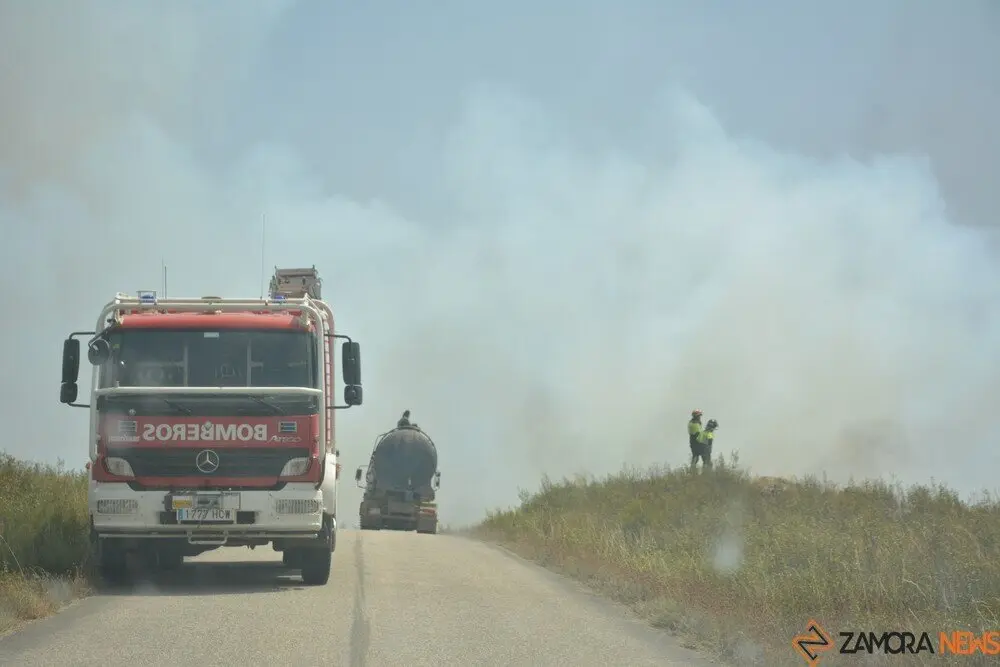 fuego puercas vegalatrave losacio_192