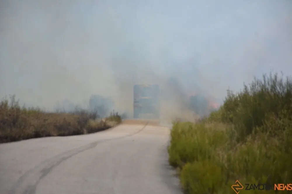 fuego puercas vegalatrave losacio_200