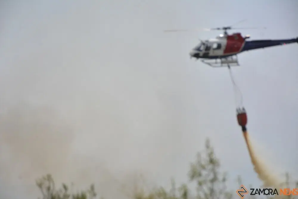 fuego puercas vegalatrave losacio_204