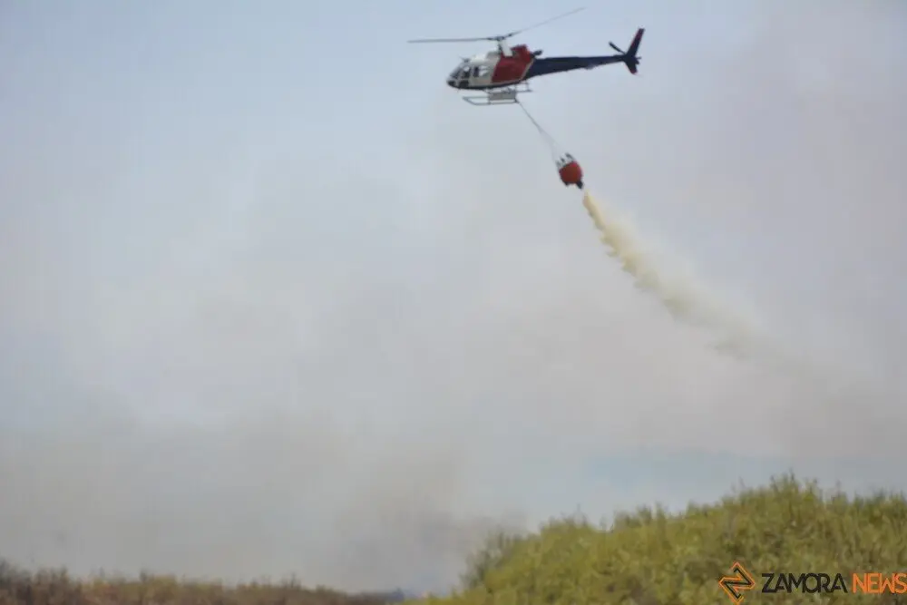 fuego puercas vegalatrave losacio_211