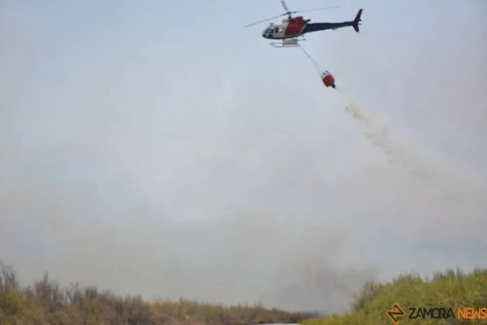 fuego puercas vegalatrave losacio_212