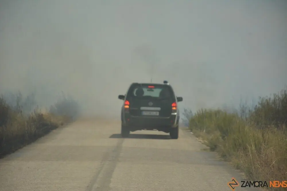 fuego puercas vegalatrave losacio_217