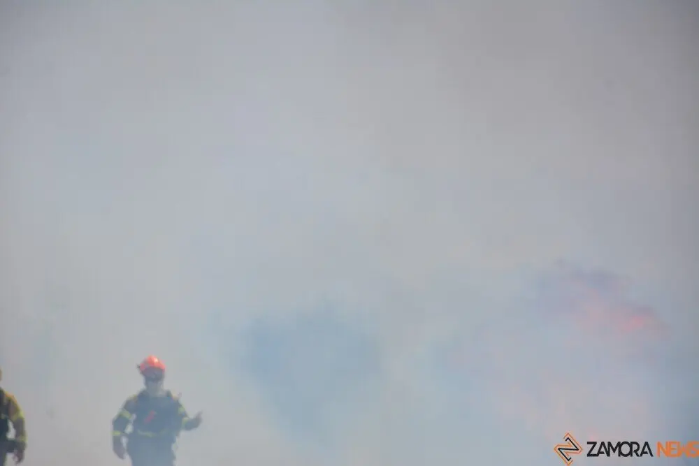 fuego puercas vegalatrave losacio_231