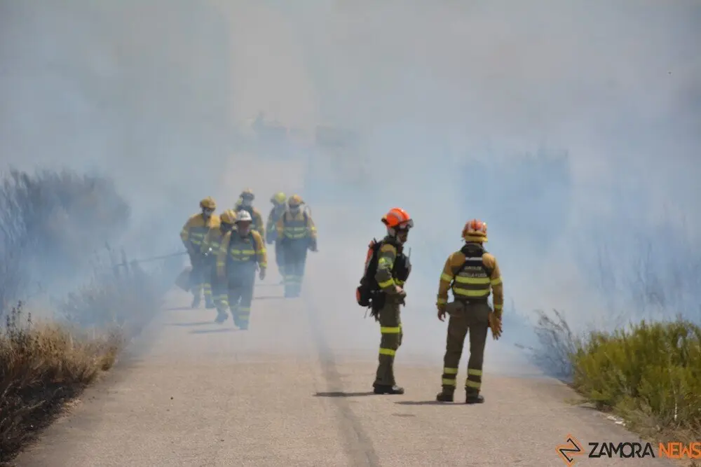 fuego puercas vegalatrave losacio_235