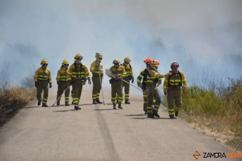 fuego puercas vegalatrave losacio_248
