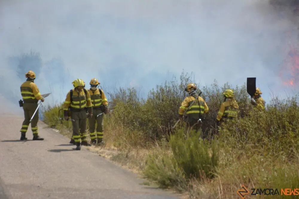 fuego puercas vegalatrave losacio_253