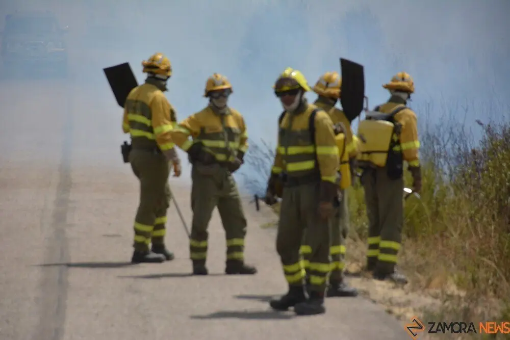 fuego puercas vegalatrave losacio_258