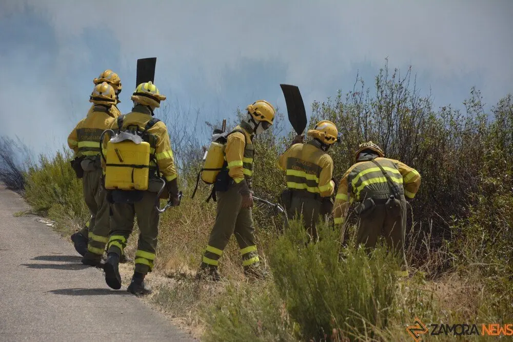 fuego puercas vegalatrave losacio_261