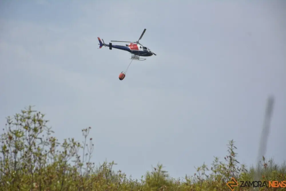 fuego puercas vegalatrave losacio_265