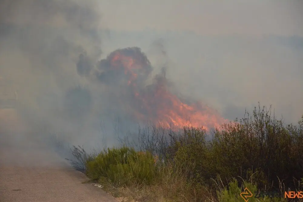 fuego puercas vegalatrave losacio_266