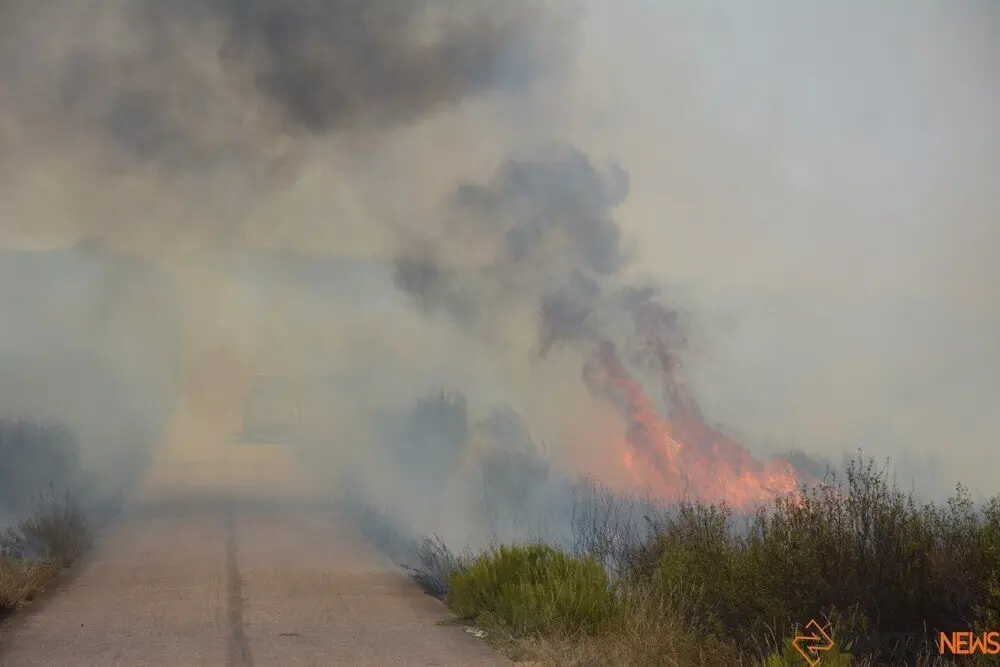 fuego puercas vegalatrave losacio_268