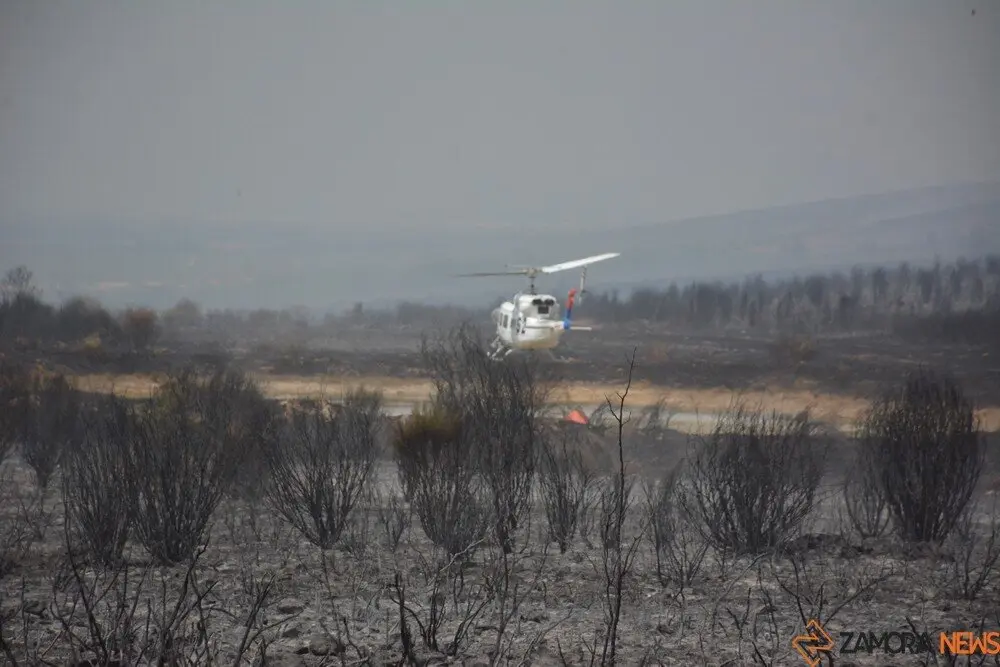 fuego puercas vegalatrave losacio_276