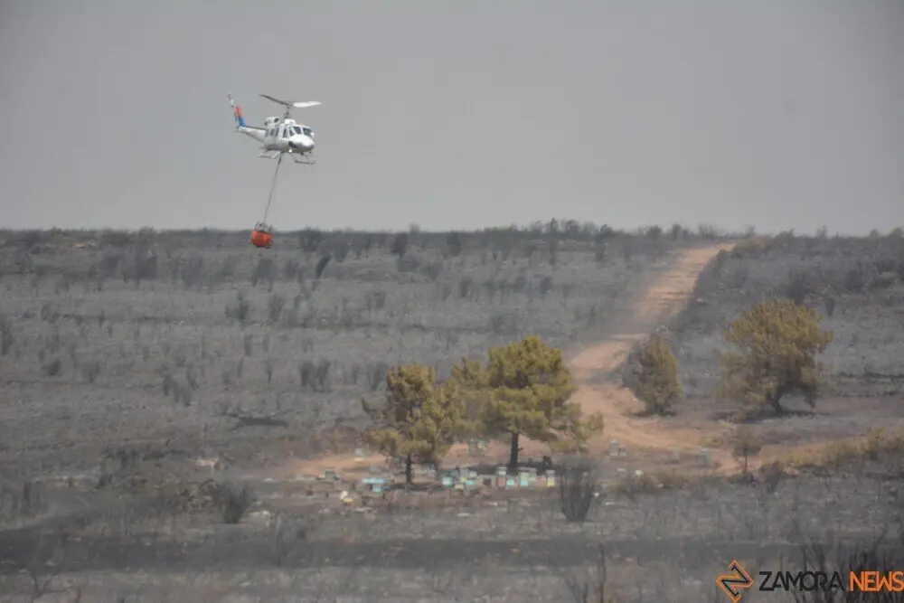 fuego puercas vegalatrave losacio_283
