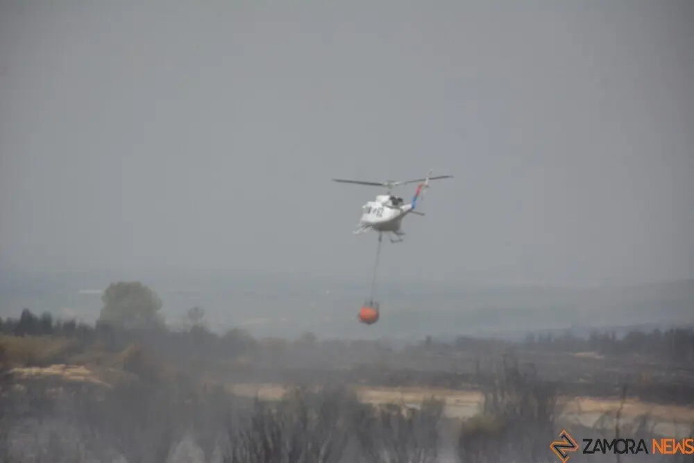 fuego puercas vegalatrave losacio_278