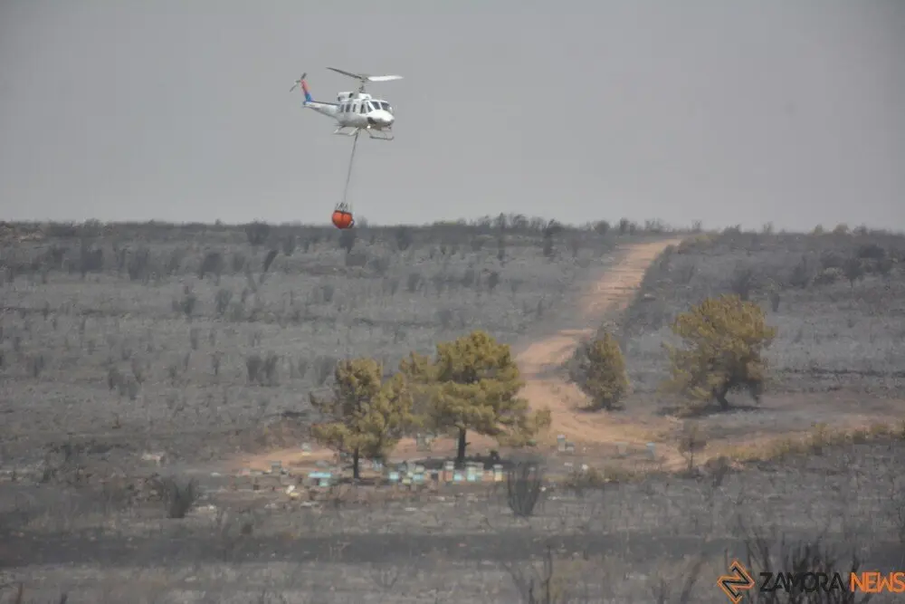 fuego puercas vegalatrave losacio_285