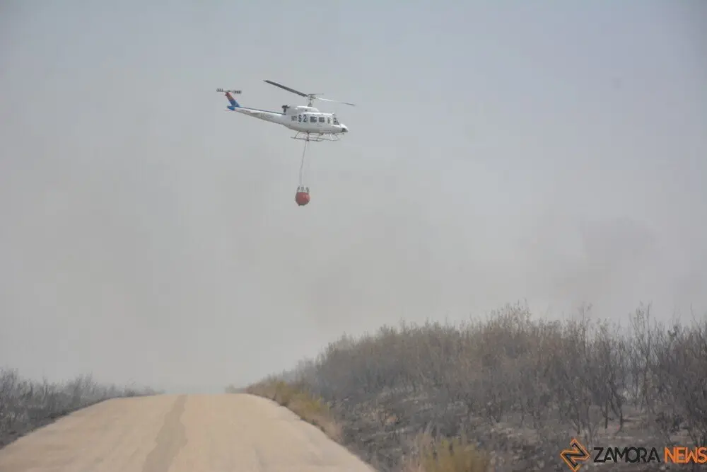 fuego puercas vegalatrave losacio_290