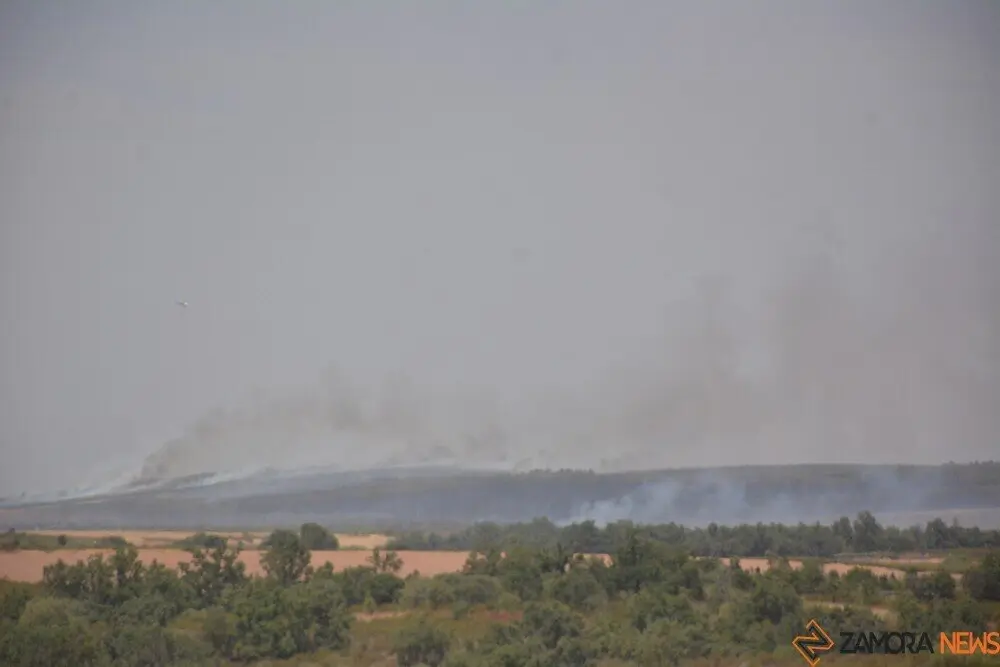 fuego puercas vegalatrave losacio_305