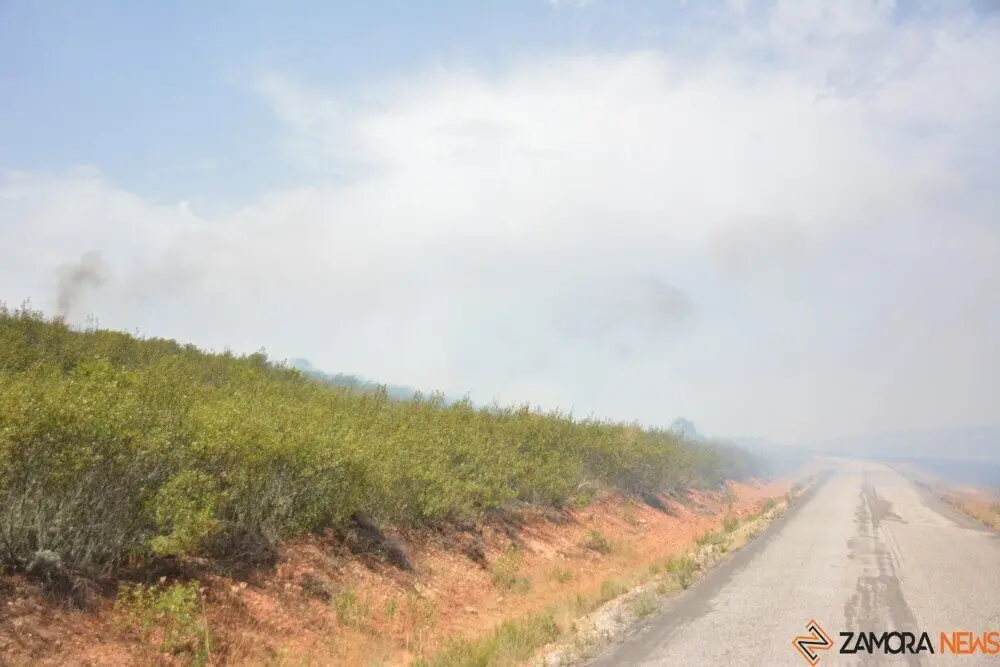 fuego puercas vegalatrave losacio_292