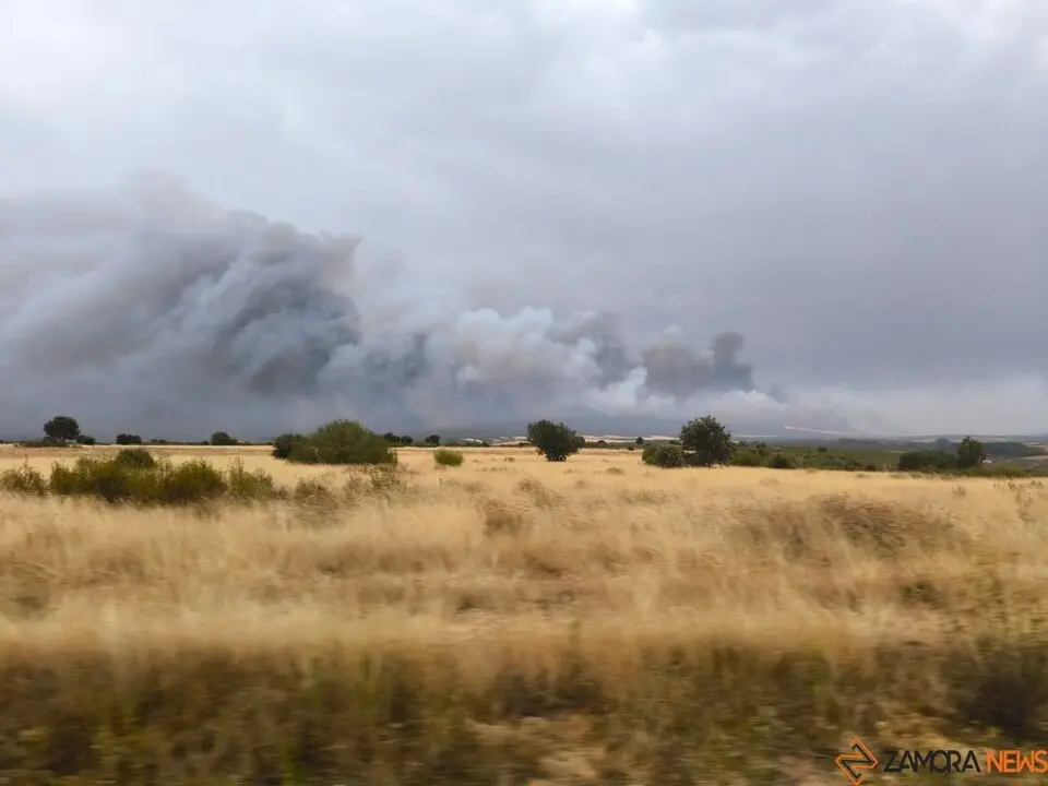 Imágenes incendio Puercas _3