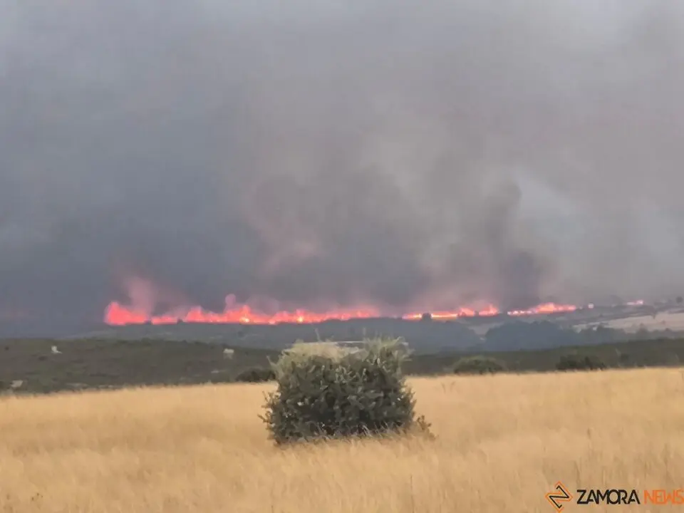 Incendio de Puercas 