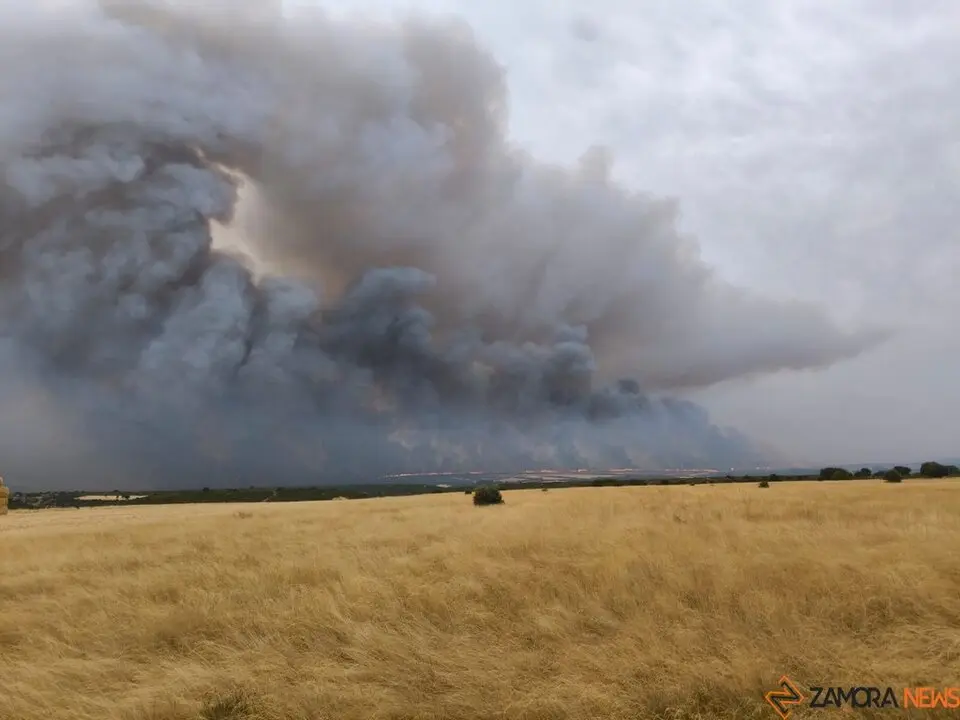 Incendio Forestal Puercas 