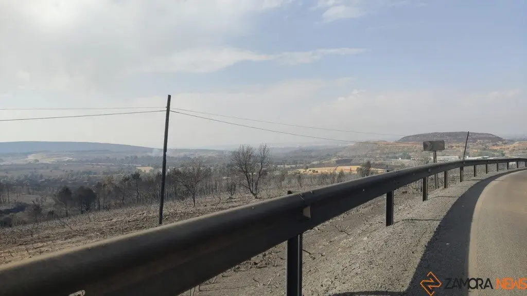 Incendios Forestales Zamora