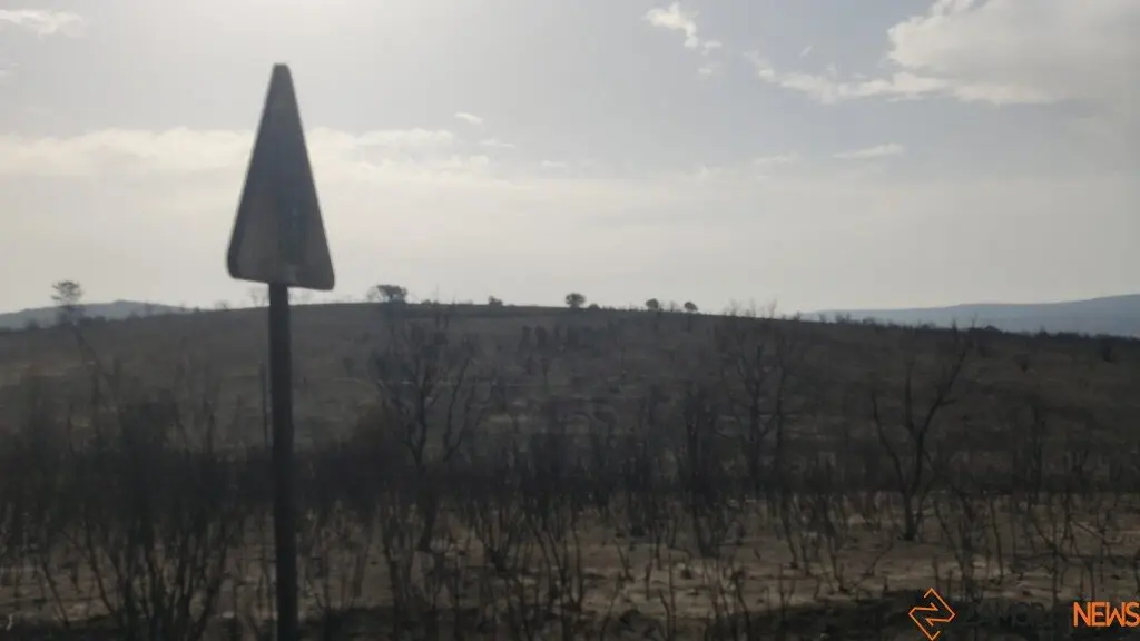 Incendios Forestales Zamora_2